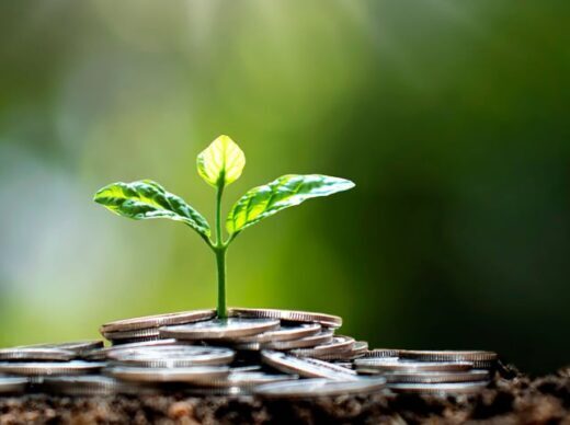 Turn over a new money leaf